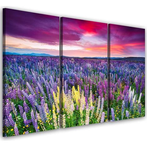 Quadro su tela 3 pezzi Campo di lavanda Natura - 150x100 (1/5)
