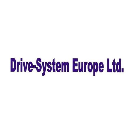 Drive-System-Europe DSZY35 attuatore elettrico acciaio inox