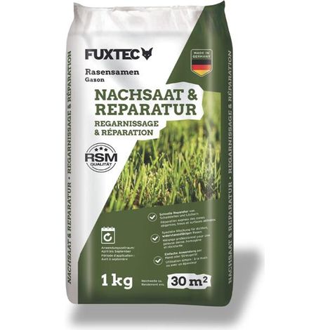 FUXTEC semi prato FX-RSNR1 – risemina 1kg per 30m² – Made in Germany – miscuglio di erba a rapida germinazione per rinfoltire e riparare il prato – resistente dall’inizio primavera all’autunno (1/5)
