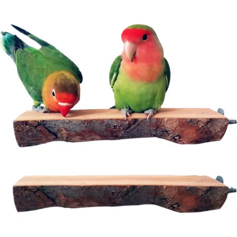 Perchoir en bois pour cage à oiseaux, en bois de pommier naturel, avec plateaux en acier inoxydable, pour l'entraînement et le jeu des oiseaux. (1/5)