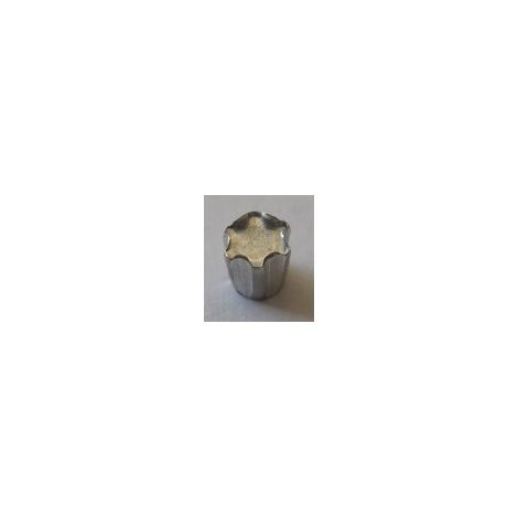 ELEMENT ANTI-INTRUSION TORX T40 Acier zingué-1 pièce