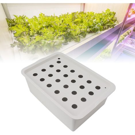 Hydroponik-Set mit 24 Pflanzlöchern, automatisches Anbausystem mit Zeitschaltuhr und Sauerstoffpumpe, Pflanzkasten, PP-Material für Blumen und Gemüse, EU-Stecker, 220 V (1/4)