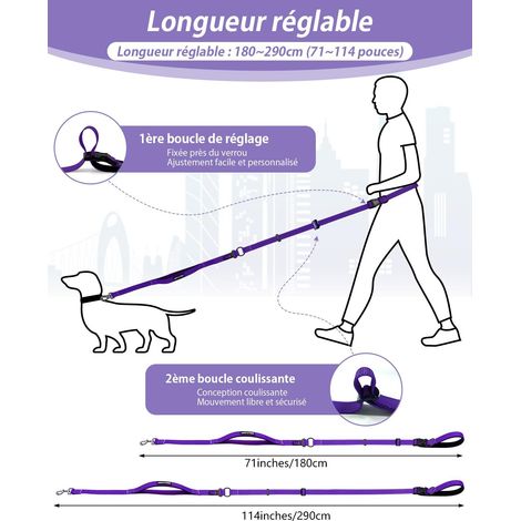 Laisse pour chien multifonctionnelle réglable, laisse d'entraînement résistante avec poignées rembourrées et bandes réfléchissantes pour promenades et jogging