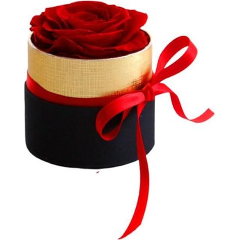 une BoîTe Cadeaux pour Femme, VéRitable Rose PréServéE, Ensemble Cadeau de Fleurs, DéCoration D'IntéRieur, Saint-Valentin,