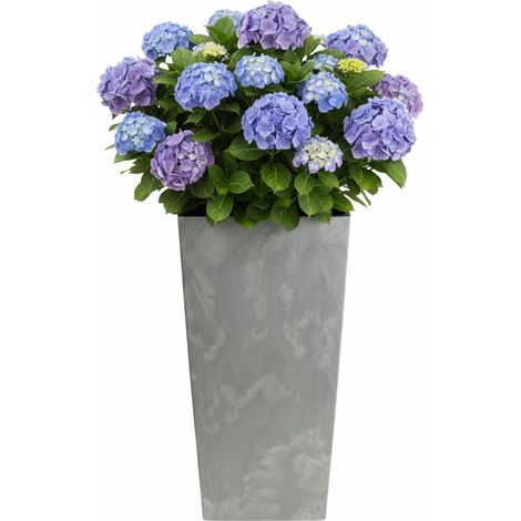 Porto Grauer Betonblumentopf H 75 x 39,6 x 39,6 cm
