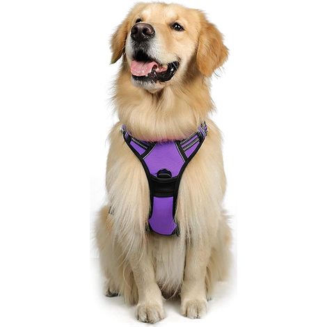 Harnais chien anti-traction Rabbitgoo L violet réglable réfléchissant attache avant (1/5)