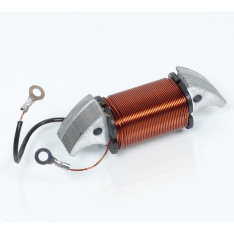 Pièce électrique diverse pour Mobylette Piaggio 50 Ciao PX (1/2)