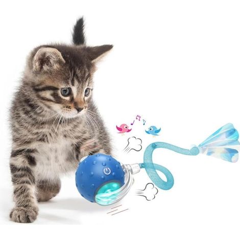SABIR Jouet interactif en balle pour chat d'intérieur (1/4)