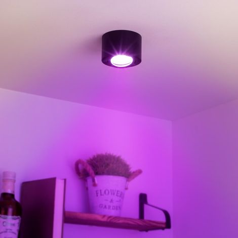 Flacher Aufbaustrahler rund schwenkbar Deckenleuchte - Farbe: schwarz - LED Leuchtmittel: 5W RGB+CCT 230V dimmbar 60° (1/5)