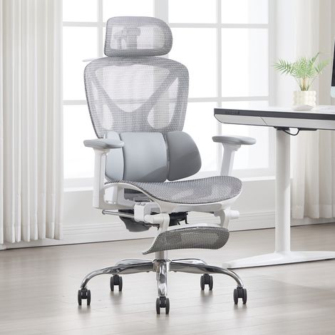 Wahson Chaise de Bureau avec Accoudoirs, Fauteuil de Bureau Ergonomique avec Support Lombaire Réglable avec Repose-Pieds, Gris