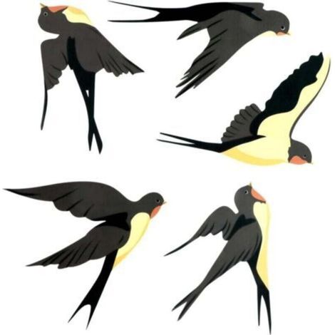 Stickers Anti Collision Oiseaux, Avec Motif Hirondelle, Sticker pour Vitre, Permet d’ éviter Que Les Oiseaux Ne Se Cognent dans Vos Fenêtres, Porte en Verre de Protection (1/4)