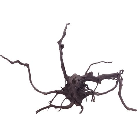 XL Black Spider Wurzel Nr.5258 Fingerwurzel Echtholz Deko Aquascaping
