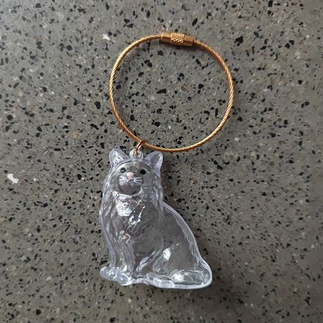 Boîte de rangement transparente en forme de chat pour poils d'animaux K A3 (1/5)