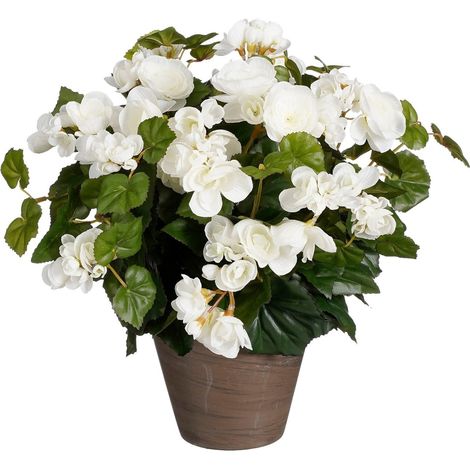 Mica Decorations Plante artificielle Blanc H37xl36xL36cm (1/5)