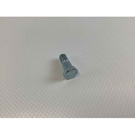 M6x16 BL0010 ORIGINAL GIANNI FERRARI 00.92.10.0001 tornillo cuchilla cizalla (1/3)