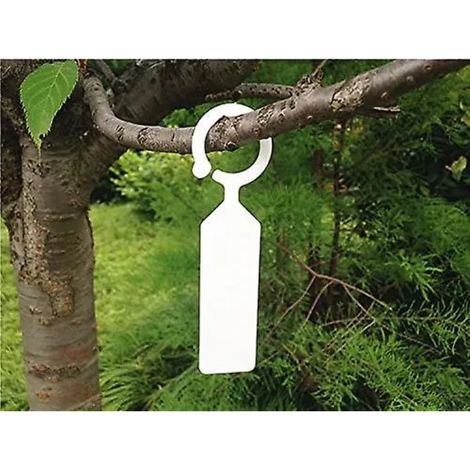 100 étiquettes blanches en plastique épais pour arbres et plantes, avec anneau de suspension. (1/5)