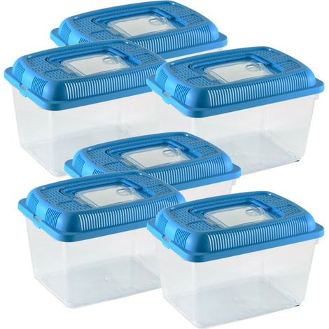 Conteneur pour petits animaux - JUANIO - Lot de 6 - 24×17×16 cm - Couvercle amovible avec poignée - Transparent/bleu (1/4)