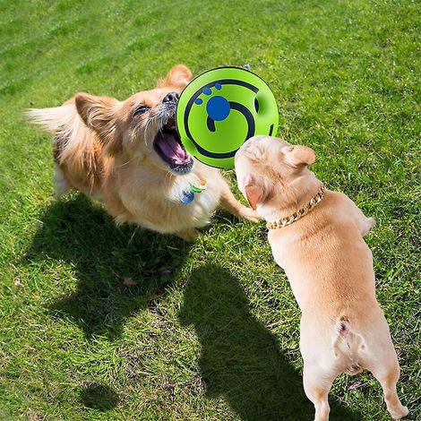 son De Chien Drle Jouant Au Ballon, Ballon Vert 10cm (1/5)