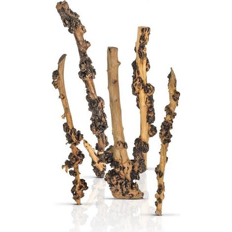PROGROW ENIGMA WOOD 1STK.