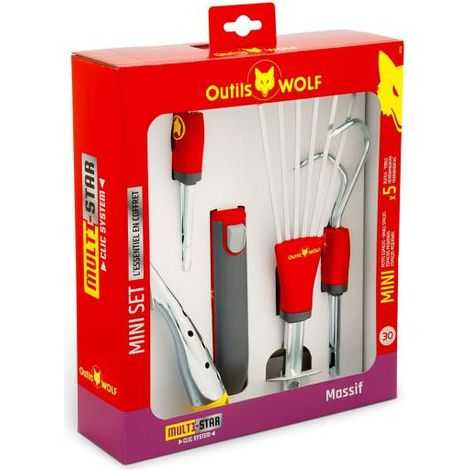 Mini-set balcons et terrasses (LU-LAM-LDM-LJM-ZM015) Outils WOLF MULTI-STAR - BT52 (1/3)