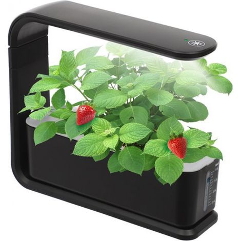 Système de culture hydroponique noir avec lampe horticole, idéal pour la maison, la cuisine et le rebord de fenêtre. Convient pour les herbes aromatiques, les légumes et les fruits. (1/5)
