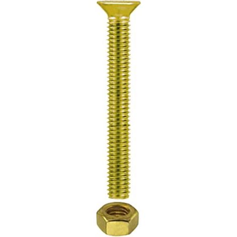 Viti per metallo T.P.S. ottone M3 x 10 - 20 pz.