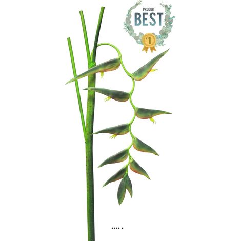 Branche d'Heliconia Equatorial, L 128 cm Vert - BEST - couleur: Vert (1/3)