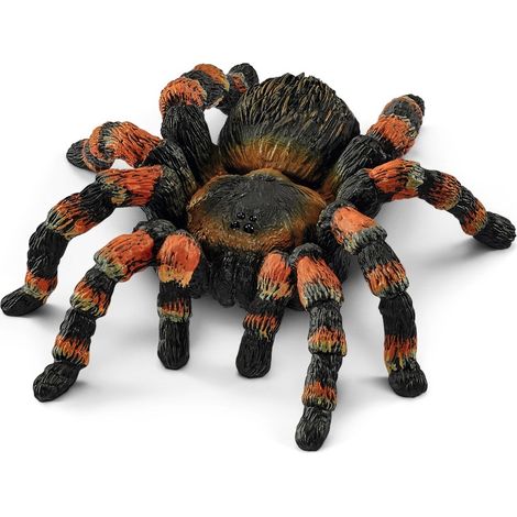 SCHLEICH TARANTOLA (5)