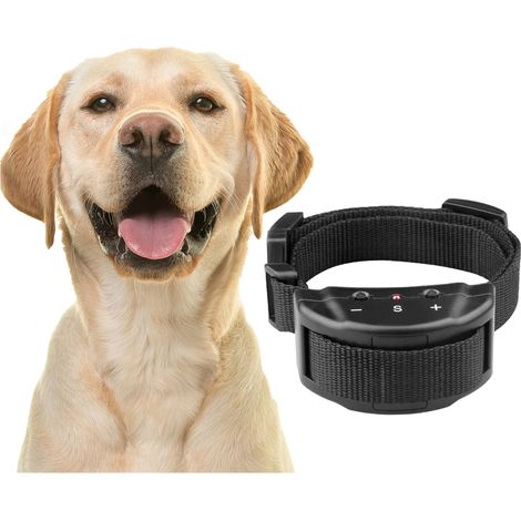 Collare elettrico antiabbaio PER CANI, collare silenziatore per addestramento