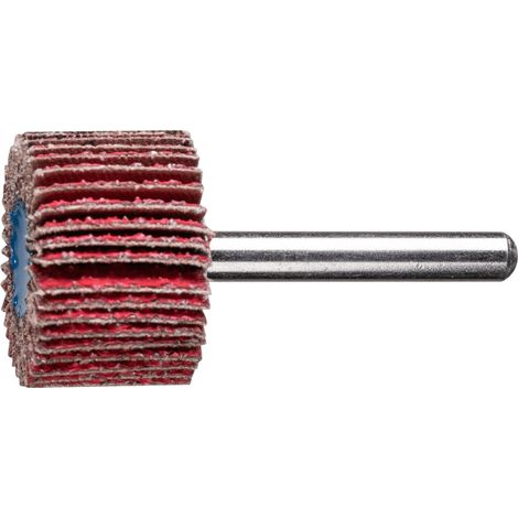 PFERD TOOLS Keramikkorn Fächerschleifer F Ø 30x20mm Schaft-Ø 6 mm CO-COOL40 hoher Abtrag auf Edelstahl 10 Stk (1/5)