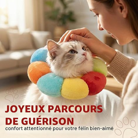 Collerette Chat , Collier de Récupération Souple pour Chats et Chatons, Protection Après Chirurgie pour Cicatrisation des Plaies, Taille S (1/4)