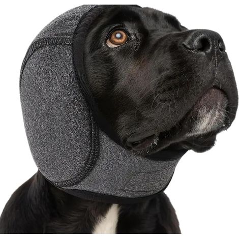 Protection auditive grise pour chiens lors des séances de toilettage, réduit le bruit et l'inconfort et facilite les soins d'hygiène.-AquaForge (1/5)