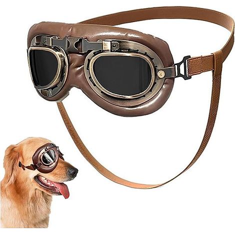 Lunettes rétro anti-UV et coupe-vent pour chien, sangle réglable, lot de 1 (1/5)