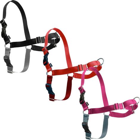 Pettorina modello Easy Walk per cani: S nero