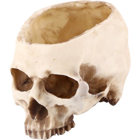 1 Stück Blumentopf/Pflanzgefäß/Dekoration mit Totenkopfmuster, aus Kunstharz (1/5)