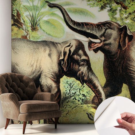 Fotomurale adesivo stickers - murali decorativo - soggiorno moderno - effetto realistico - Elefanti in famiglia 250x250 cm (1/5)