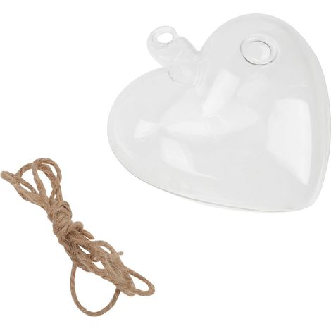Vase suspendu OSALADI pour décoration hydroponique, design facile à ranger, convient au bureau et (1/5)