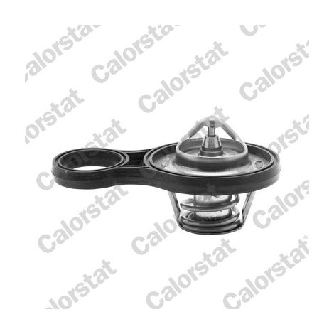 THERMOSTAT TH684391J VERNET
