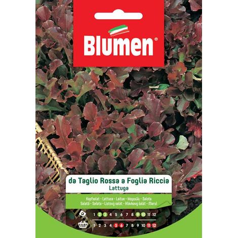 Blumen. Semi di Lattuga da Taglio Rossa a Foglia Riccia
