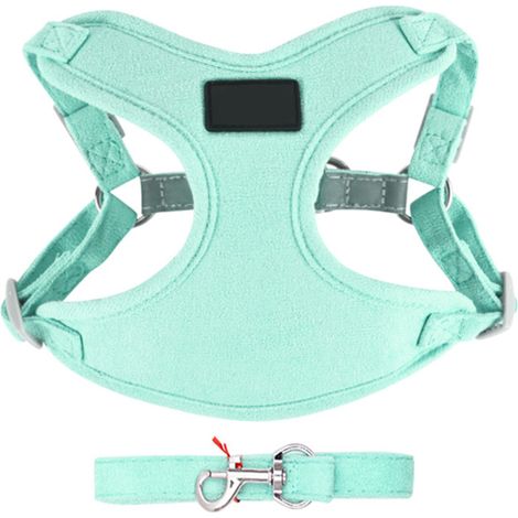 Laisse Réglable Pour Chien - Sangle Élastique Air Flex - Convient Chiens Taille Moyenne - 1 Pièce (1/5)