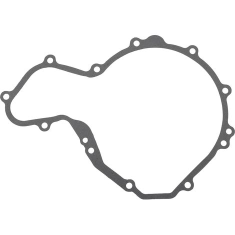 Gleichrichtergenerator-Papierpadspulenstator, passend für Polaris Predator 500 03-04 3088159 (1/4)