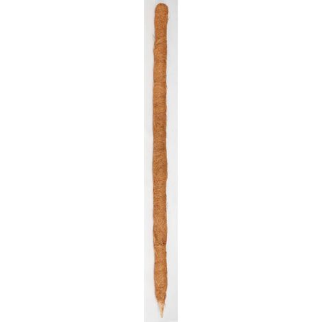 24x Stab Holz Kokos Stangen Stütze Stäbe Kletterpflanzen Ranken Hilfe Garten (1/2)