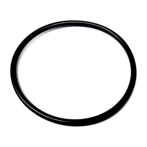 Vortex O-Ring per il corpo pompa della pompa BWO 200, 399-101-110
