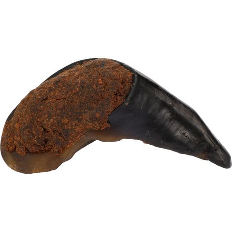 Friandise Nature 1 Sabot de buffle avec poumon 135g pour chien - Flamingo (1/3)