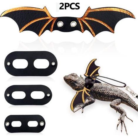 Set mit 2 verstellbaren Echsenleinen, Geschirr für Bartagamen mit Flügeln, weiche Leine für Reptilien, Leopardgeckos, Amphibien und andere Kleintiere (schwarz) (1/5)