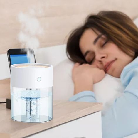 Humidificateur 2L Grande capacité Silencieux USB 3 modes Diffuseur Hydratant pour la maison (1/5)