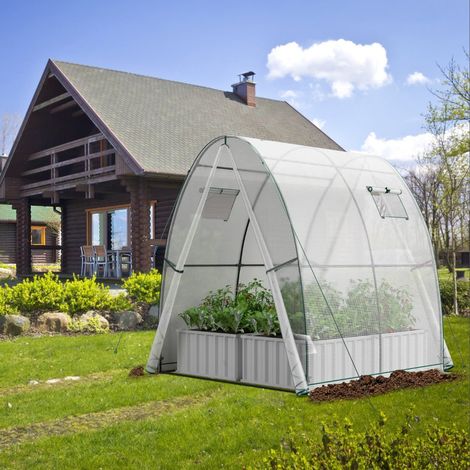 Walk-In Greenhouse with PE Cover & Roll-Up Doors, 181x181x200 cm
