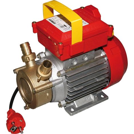 Pompa elettrica da travaso rotazione reversibile 340 W raccordi 20 mm - Rover (1/2)
