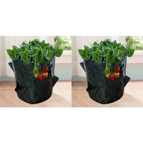Sacs de Culture pour Fraise. 2PCS 18L/5 Gallons Sac de Legumes. Tissu Non-tissé Sac de Plantation avec Fenêtre. Sac de Legumes de Jardin (23X28CM (4 ports)) (1/5)