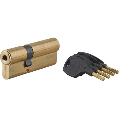 Cilindro europeo a doppia entrata Surveyor, 31x61mm, ottone, antisfilamento, 4 chiavi - THIRARD